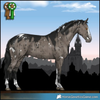 Horse Color:Gray White Spotted Grullo Splash Tobiano Brindle 