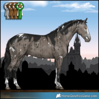 Horse Color:Gray White Spotted Grullo Splash Tobiano Brindle 