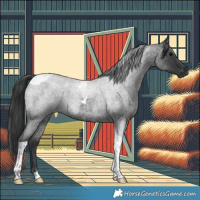 Horse Color:Blue Roan Tobiano 