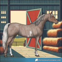 Horse Color:Silver Blue Roan Sabino 