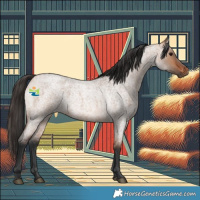 Horse Color:Bay Roan Dun 