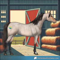 Horse Color:Bay Roan Dun 