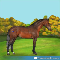 Horse Color:Brown 