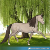 Horse Color:Classic Champagne Dun 