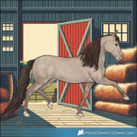 Horse Color:Classic Champagne Dun 