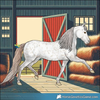 Horse Color:Classic Champagne Dun Appaloosa 
