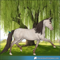 Horse Color:Classic Champagne Roan Dun 