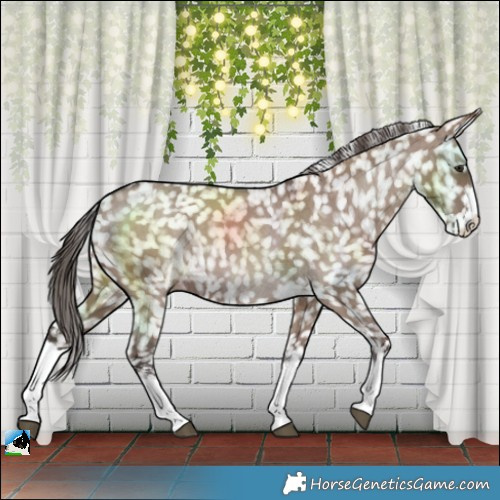 Horse Color:Liver Red Dun Sabino Splash Snowflake Varnish