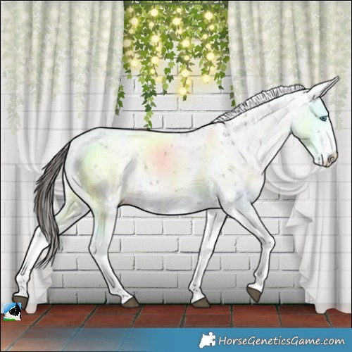 Horse Color:Liver Chestnut Splash Snowflake Varnish