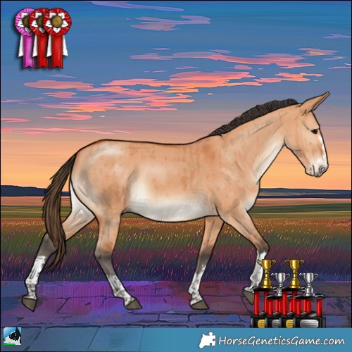 Horse Color:Bay Dun Rabicano Brindle 