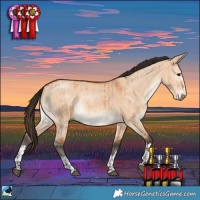 Horse Color:Bay Dun Rabicano Brindle 