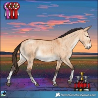 Horse Color:Bay Dun Rabicano Brindle 