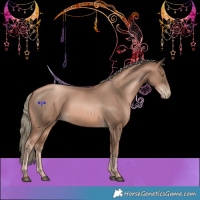 Horse Color:Liver Chestnut Pearl Mushroom 