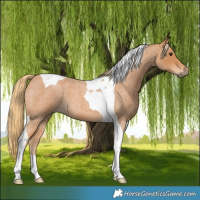Horse Color:Red Roan Tobiano