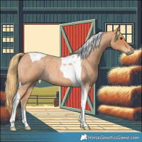 Horse Color:Red Roan Tobiano 