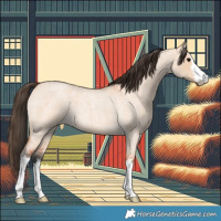 Horse Color:White Spotted Bay Roan Dun 