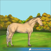 Horse Color:Palomino 