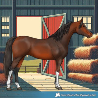 Horse Color:Bay Tobiano 