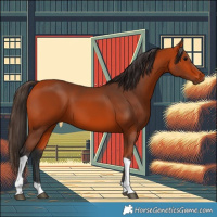 Horse Color:Bay Tobiano