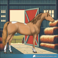 Horse Color:Chestnut Tobiano