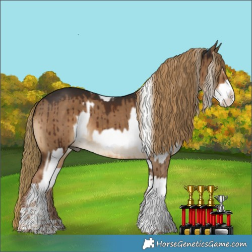 Horse Color:White Spotted Palomino Splash  and Gray Liver Red Dun Splash Tobiano Rabicano Brindle 