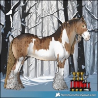 Horse Color:White Spotted Palomino Splash  and Gray Liver Red Dun Splash Tobiano Rabicano Brindle 