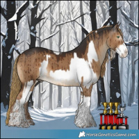 Horse Color:White Spotted Palomino Splash  and Gray Liver Red Dun Splash Tobiano Rabicano Brindle 