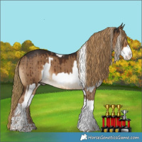 Horse Color:White Spotted Palomino Splash and Gray Liver Red Dun Splash Tobiano Rabicano Brindle