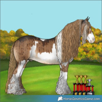 Horse Color:White Spotted Palomino Splash and Gray Liver Red Dun Splash Tobiano Rabicano Brindle