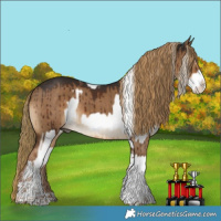 Horse Color:White Spotted Palomino Splash  and Gray Liver Red Dun Splash Tobiano Rabicano Brindle 