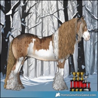 Horse Color:White Spotted Palomino Splash and Gray Liver Red Dun Splash Tobiano Rabicano Brindle