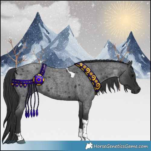 Horse Color:Blue Roan Tobiano