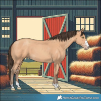 Horse Color:Amber Champagne 