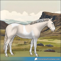 Horse Color:Perlino Tobiano 