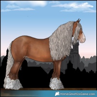 Horse Color:Gray Silver Sable Champagne