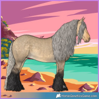 Horse Color:Silver Buckskin Dun 