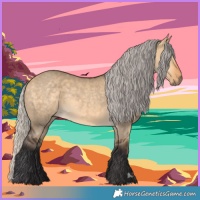 Horse Color:Silver Buckskin Dun 