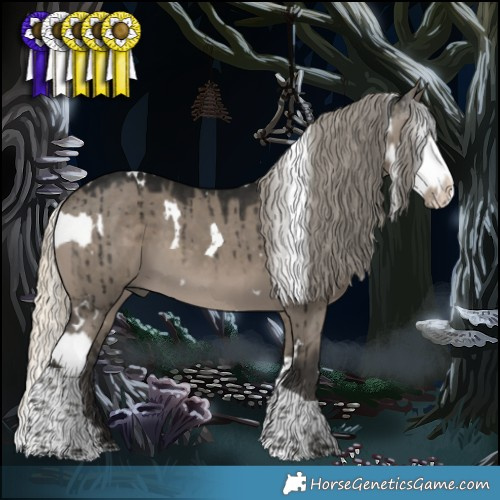 Horse Color:White Spotted Palomino Dun Splash  and Gray White Spotted Silver Smoky Grullo Splash Tobiano Brindle 