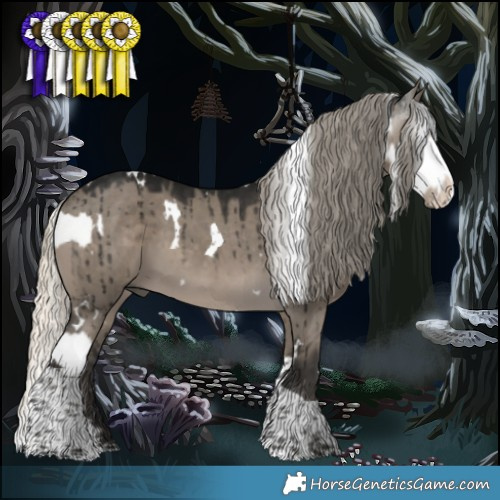 Horse Color:White Spotted Palomino Dun Splash  and Gray White Spotted Silver Smoky Grullo Splash Tobiano Brindle 