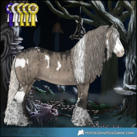 Horse Color:White Spotted Palomino Dun Splash and Gray White Spotted Silver Smoky Grullo Splash Tobiano Brindle