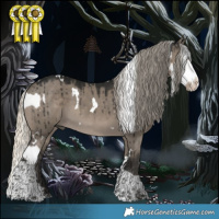 Horse Color:White Spotted Palomino Dun Splash  and Gray White Spotted Silver Smoky Grullo Splash Tobiano Brindle 