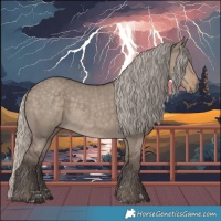 Horse Color:Silver Smoky Grullo 