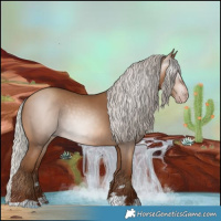 Horse Color:Gray Silver Sable Champagne 