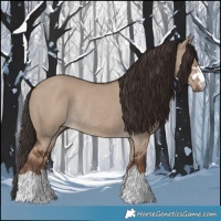 Horse Color:Liver Red Dun Rabicano 
