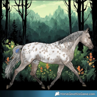 Horse Color:Liver Red Dun Mushroom Appaloosa 