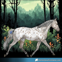 Horse Color:Liver Red Dun Mushroom Near Leopard 