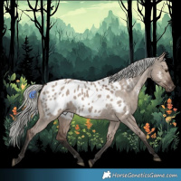 Horse Color:Liver Red Dun Mushroom Appaloosa