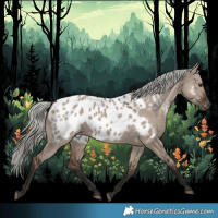 Horse Color:Liver Red Dun Mushroom Near Leopard