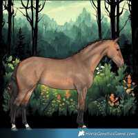 Horse Color:Bay Dun