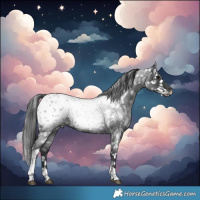 Horse Color:Blue Roan Tobiano Blanket 